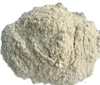 Proteína de alta calidad (mín. 82 %) Harina de gluten de trigo vital para la industria panadera